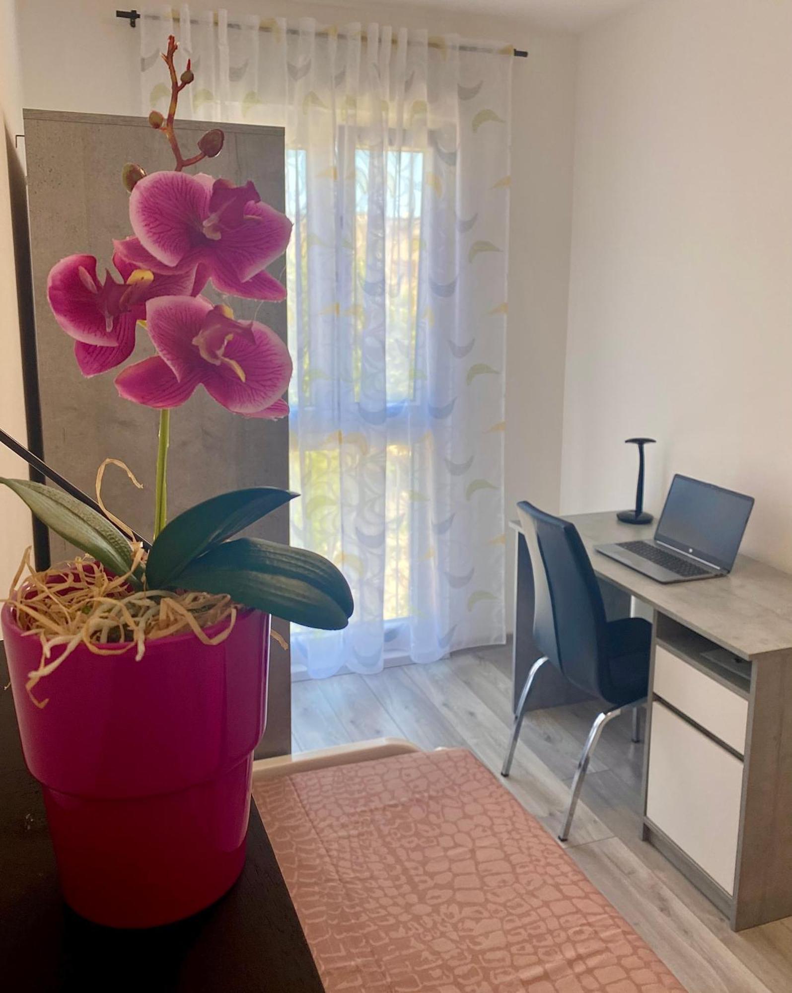 PUY Ema Apartment מראה חיצוני תמונה